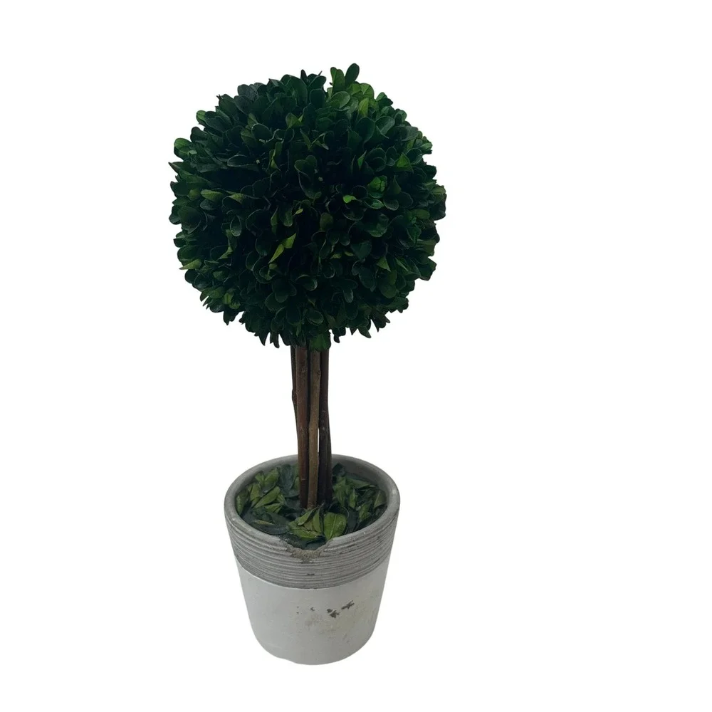 Preserved Boxwood Topiary Tree Round‎ Ball in Distressed Grey Pot 15 Inch Green